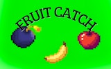 Catch the Fruits - Fruit Collector Arcade