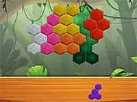 Hexa Jungle Puzzle Game