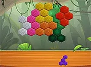 Hexa Jungle Puzzle Game