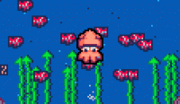 Squid! Escape! Fight! Online Game