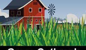 Grass Outbreak Online Game