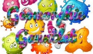 Geomorphic Gauntlet Online Game