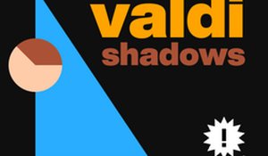 Valdi Shadows Puzzle Game