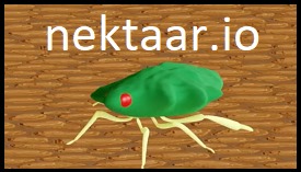 Nektaar.io Online Multiplayer Game