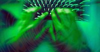 New AI Model Decodes Keystrokes from Zoom Audio with High Accuracy