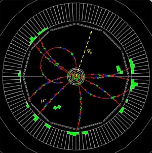 Tau Particle Decay Anomaly Challenges Core Physics Assumption