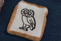 Rice University Lab Turns Food Into Graphene Sensors